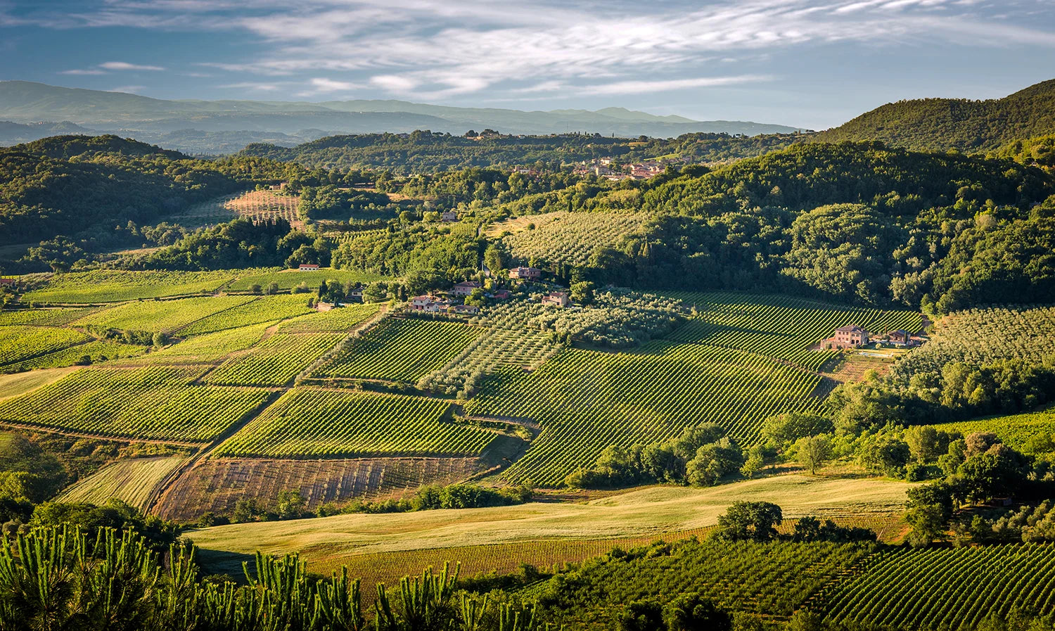 Montepulciano_vista_ampia.webp