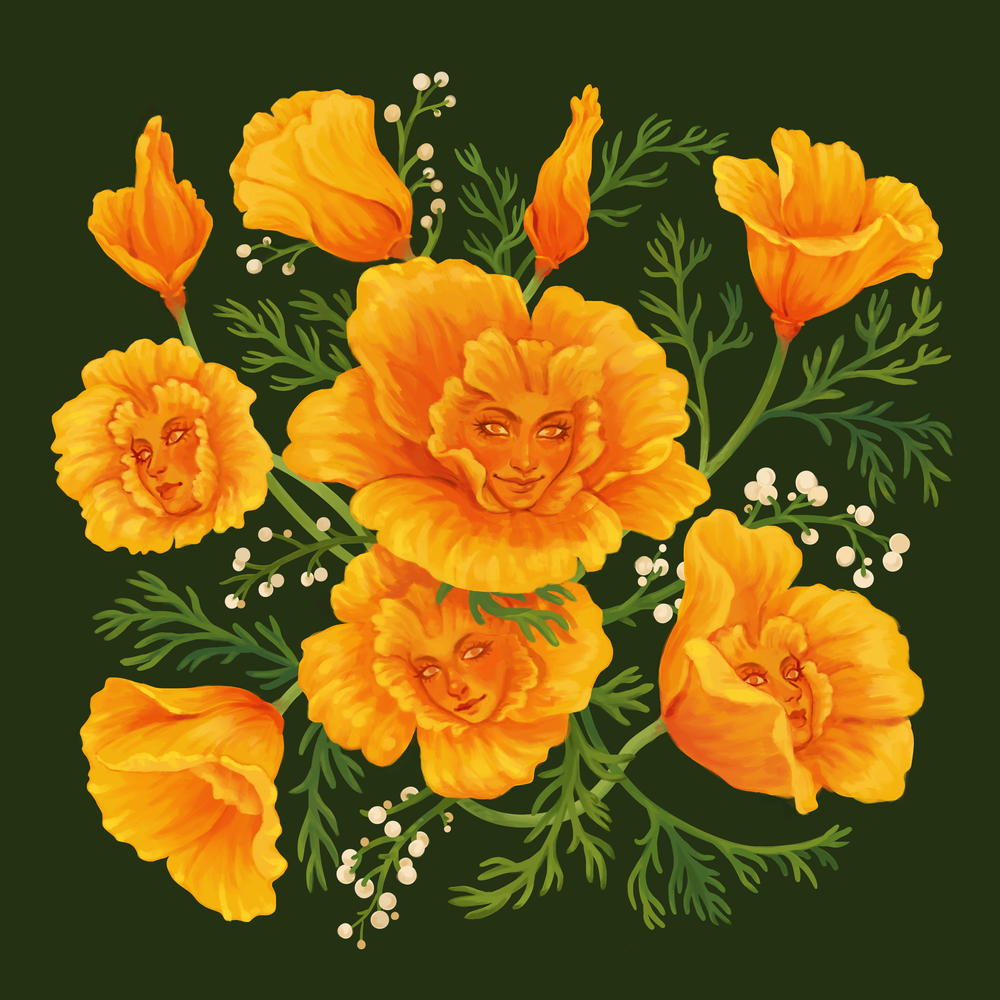 kow-chard-illustration-1657940688088.png