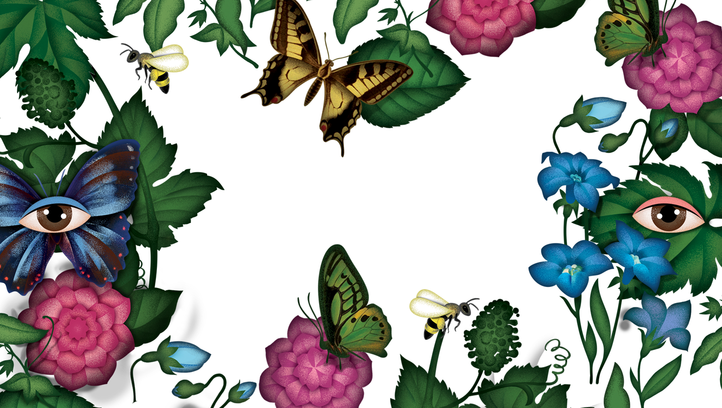 landing-frame.png
