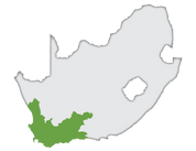Sauvignon Blanc
