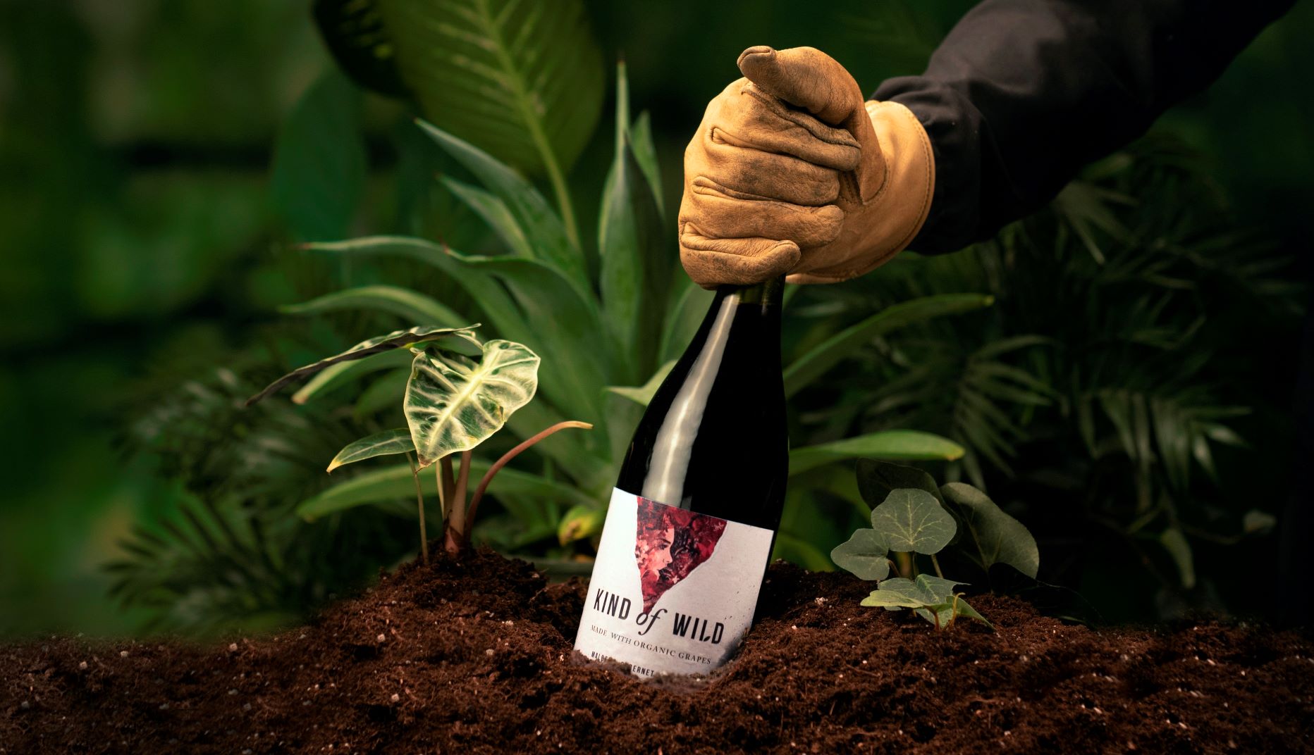 Good Company: Kind of Wild Wines Is on a Mission to ‘Rewild’ the Planet