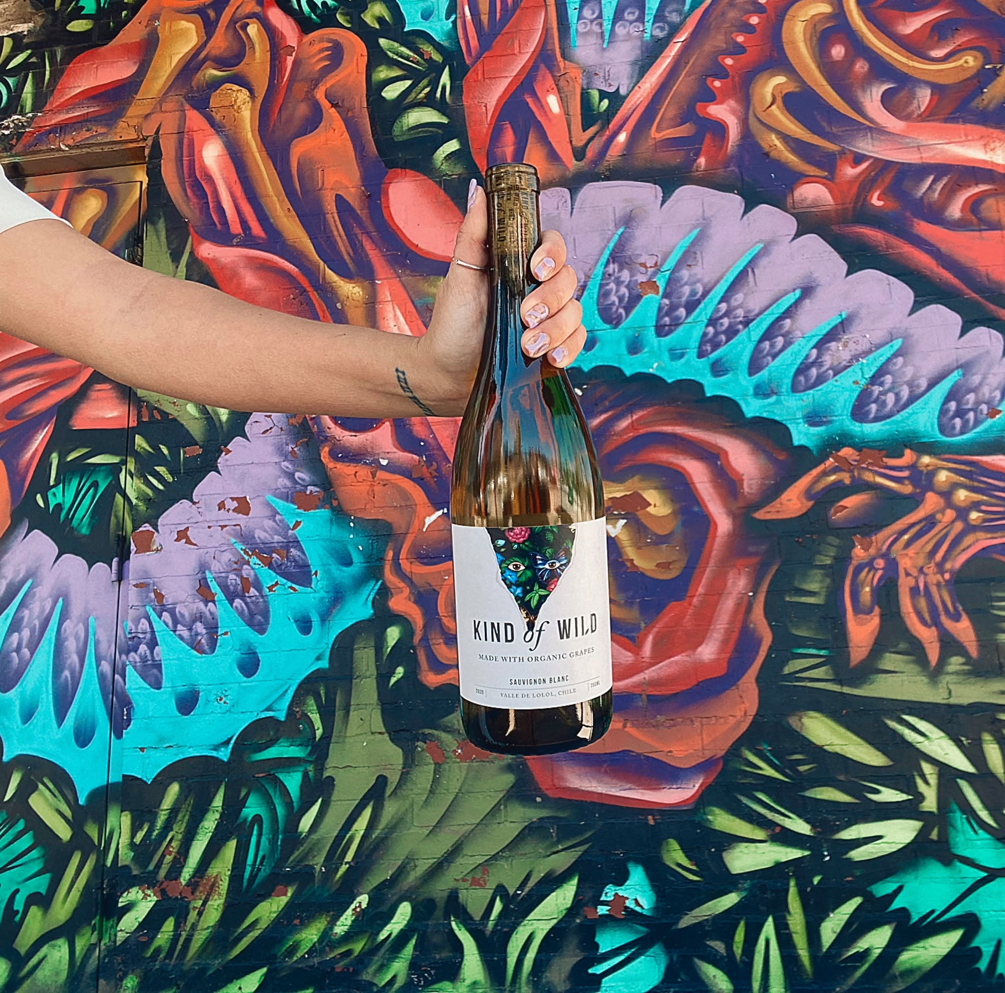 Paleo, Keto & Wine: Why Kind of Wild Is the Perfect Pour