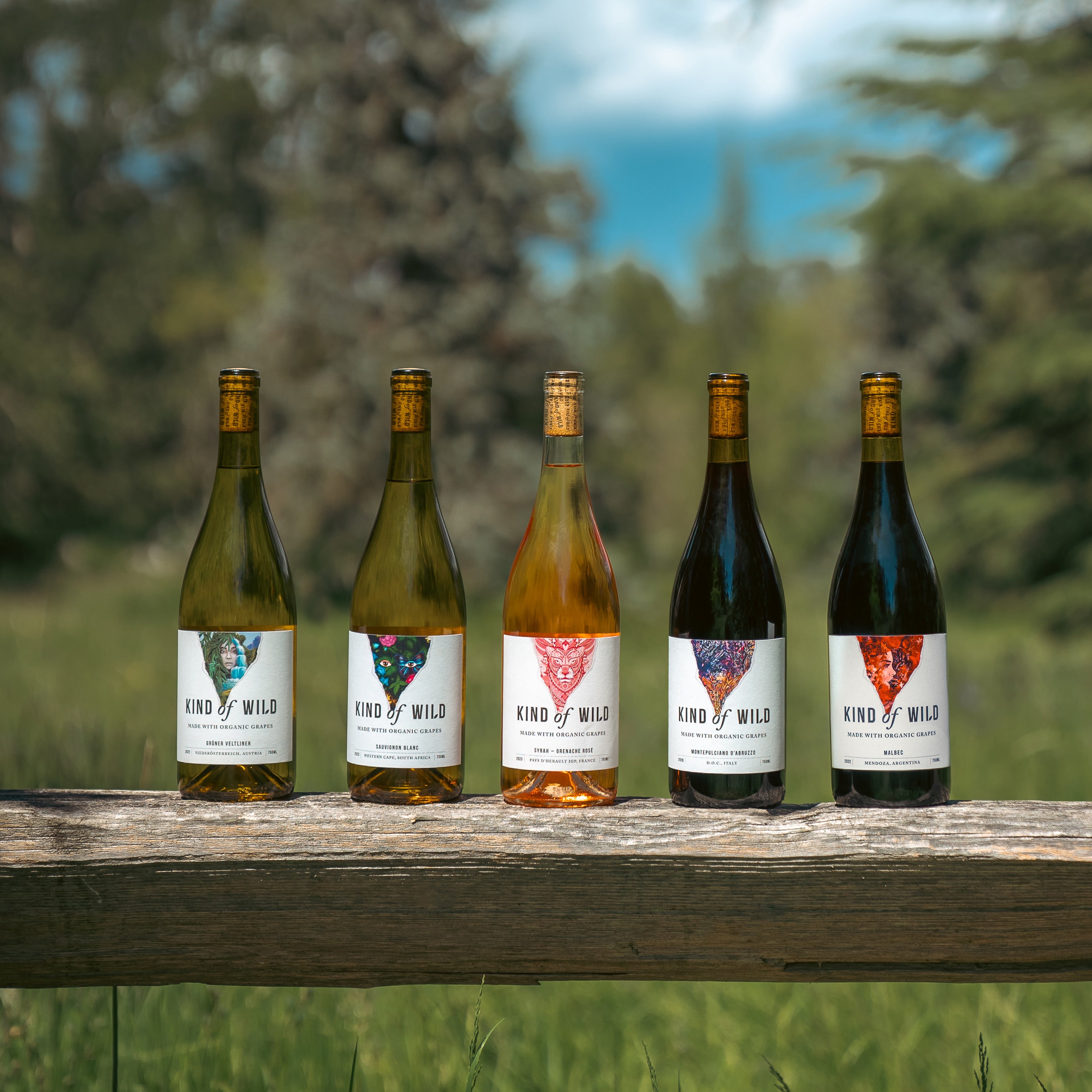 Five wine bottles with labels on a wooden plank outdoors.