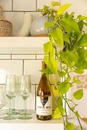 Sauvignon Blanc