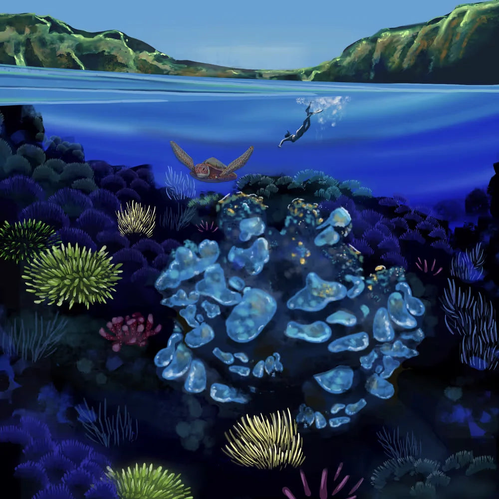 coralreef_winelabel-1665871238040.webp